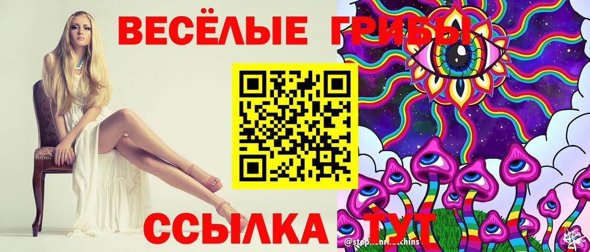 Галлюциногенные грибы Psilocybine cubensis Лесозаводск