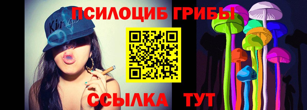 Лесозаводск  Псилоцибиновые грибы Psilocybine cubensis  Вход с VPN  Галлюциногенные грибы прущие грибы 